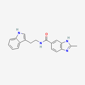 molecular formula C19H18N4O B11137907 N-[2-(1H-indol-3-yl)ethyl]-2-methyl-1H-1,3-benzimidazole-5-carboxamide 