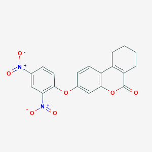 molecular formula C19H14N2O7 B11155869 3-(2,4-Dinitro-phenoxy)-7,8,9,10-tetrahydro-benzo(C)chromen-6-one 