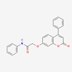 2-[(2-oxo-4-phenyl-2H-chromen-7-yl)oxy]-N-phenylacetamide