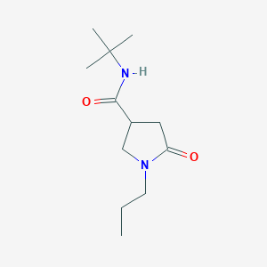 molecular formula C12H22N2O2 B11160908 N-tert-butyl-5-oxo-1-propylpyrrolidine-3-carboxamide 