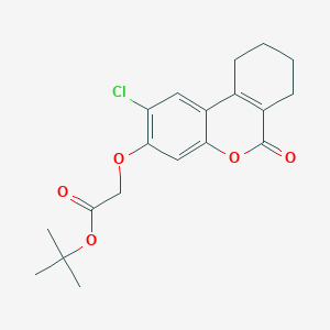 molecular formula C19H21ClO5 B11161683 tert-butyl [(2-chloro-6-oxo-7,8,9,10-tetrahydro-6H-benzo[c]chromen-3-yl)oxy]acetate 