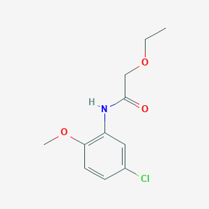 molecular formula C11H14ClNO3 B11168157 N-(5-chloro-2-methoxyphenyl)-2-ethoxyacetamide 