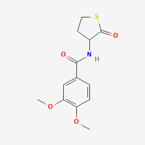 molecular formula C13H15NO4S B11171089 3,4-dimethoxy-N-(2-oxotetrahydrothiophen-3-yl)benzamide 