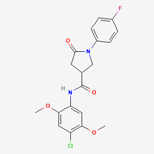 molecular formula C19H18ClFN2O4 B11171820 N-(4-chloro-2,5-dimethoxyphenyl)-1-(4-fluorophenyl)-5-oxopyrrolidine-3-carboxamide 