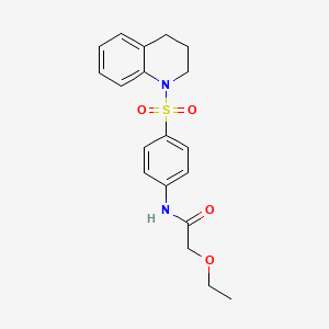 N-[4-(3,4-dihydroquinolin-1(2H)-ylsulfonyl)phenyl]-2-ethoxyacetamide