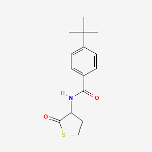 4-tert-butyl-N-(2-oxotetrahydrothiophen-3-yl)benzamide