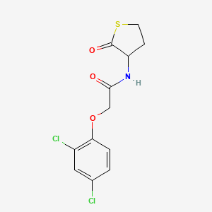 molecular formula C12H11Cl2NO3S B11174322 2-(2,4-dichlorophenoxy)-N-(2-oxothiolan-3-yl)acetamide CAS No. 957483-47-5