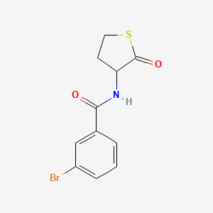 molecular formula C11H10BrNO2S B11174438 3-bromo-N-(2-oxotetrahydrothiophen-3-yl)benzamide 