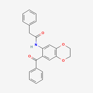 N-(7-benzoyl-2,3-dihydro-1,4-benzodioxin-6-yl)-2-phenylacetamide