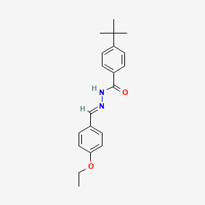 4-tert-butyl-N'-[(E)-(4-ethoxyphenyl)methylidene]benzohydrazide