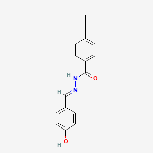 4-tert-butyl-N'-[(E)-(4-hydroxyphenyl)methylidene]benzohydrazide