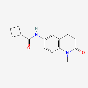 N-(1-methyl-2-oxo-1,2,3,4-tetrahydroquinolin-6-yl)cyclobutanecarboxamide