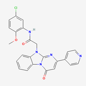 molecular formula C24H18ClN5O3 B11201900 N-(5-chloro-2-methoxyphenyl)-2-[4-oxo-2-(pyridin-4-yl)pyrimido[1,2-a]benzimidazol-10(4H)-yl]acetamide 