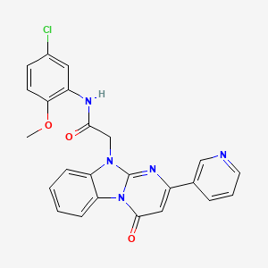 N-(5-chloro-2-methoxyphenyl)-2-[4-oxo-2-(pyridin-3-yl)pyrimido[1,2-a]benzimidazol-10(4H)-yl]acetamide