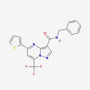 molecular formula C19H13F3N4OS B11209010 N-benzyl-5-(thiophen-2-yl)-7-(trifluoromethyl)pyrazolo[1,5-a]pyrimidine-3-carboxamide 