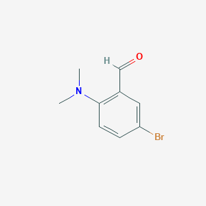 molecular formula C9H10BrNO B112099 5-溴-2-(二甲氨基)苯甲醛 CAS No. 171881-36-0