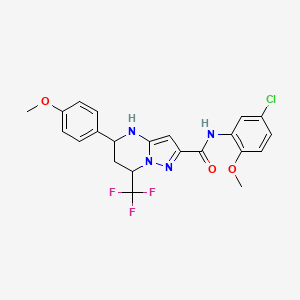 molecular formula C22H20ClF3N4O3 B11216895 N-(5-chloro-2-methoxyphenyl)-5-(4-methoxyphenyl)-7-(trifluoromethyl)-4,5,6,7-tetrahydropyrazolo[1,5-a]pyrimidine-2-carboxamide 