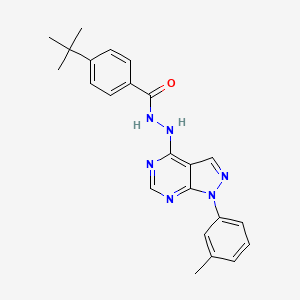 molecular formula C23H24N6O B11221296 4-tert-butyl-N'-[1-(3-methylphenyl)-1H-pyrazolo[3,4-d]pyrimidin-4-yl]benzohydrazide 