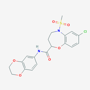 molecular formula C19H19ClN2O6S B11224238 7-chloro-N-(2,3-dihydro-1,4-benzodioxin-6-yl)-5-(methylsulfonyl)-2,3,4,5-tetrahydro-1,5-benzoxazepine-2-carboxamide 