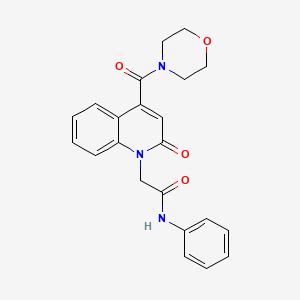 molecular formula C22H21N3O4 B11224640 2-[4-(morpholin-4-ylcarbonyl)-2-oxoquinolin-1(2H)-yl]-N-phenylacetamide 