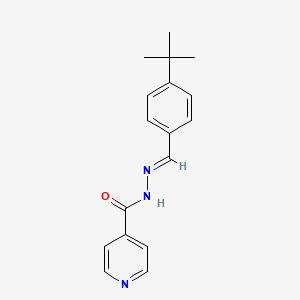 molecular formula C17H19N3O B11225530 N'-[(E)-(4-tert-butylphenyl)methylidene]pyridine-4-carbohydrazide 