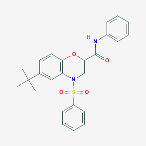 6-tert-butyl-N-phenyl-4-(phenylsulfonyl)-3,4-dihydro-2H-1,4-benzoxazine-2-carboxamide