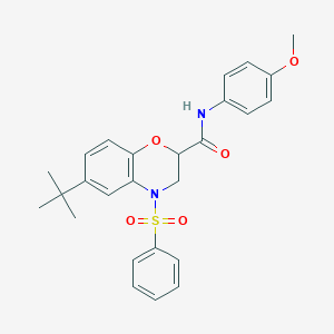 molecular formula C26H28N2O5S B11230127 6-tert-butyl-N-(4-methoxyphenyl)-4-(phenylsulfonyl)-3,4-dihydro-2H-1,4-benzoxazine-2-carboxamide 