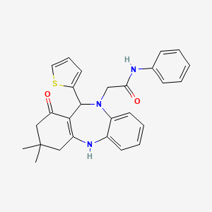 2-[3,3-dimethyl-1-oxo-11-(thiophen-2-yl)-1,2,3,4,5,11-hexahydro-10H-dibenzo[b,e][1,4]diazepin-10-yl]-N-phenylacetamide