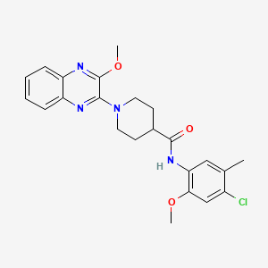 molecular formula C23H25ClN4O3 B11230643 N-(4-chloro-2-methoxy-5-methylphenyl)-1-(3-methoxyquinoxalin-2-yl)piperidine-4-carboxamide 