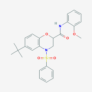 6-tert-butyl-N-(2-methoxyphenyl)-4-(phenylsulfonyl)-3,4-dihydro-2H-1,4-benzoxazine-2-carboxamide