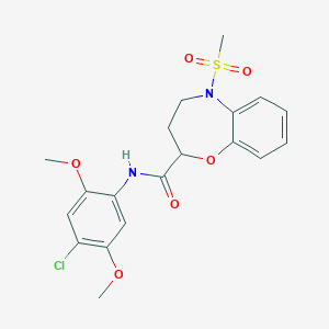 N-(4-chloro-2,5-dimethoxyphenyl)-5-(methylsulfonyl)-2,3,4,5-tetrahydro-1,5-benzoxazepine-2-carboxamide