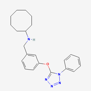 N-{3-[(1-phenyl-1H-tetrazol-5-yl)oxy]benzyl}cyclooctanamine