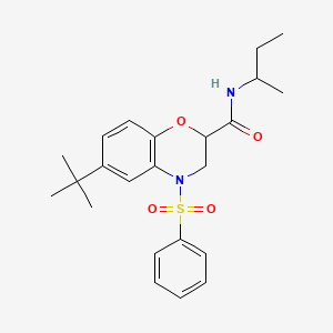 N-(butan-2-yl)-6-tert-butyl-4-(phenylsulfonyl)-3,4-dihydro-2H-1,4-benzoxazine-2-carboxamide