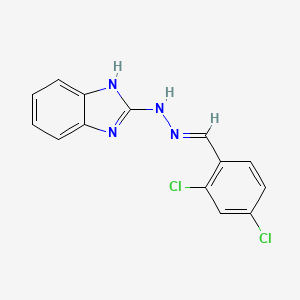 2-[(2E)-2-(2,4-dichlorobenzylidene)hydrazinyl]-1H-benzimidazole