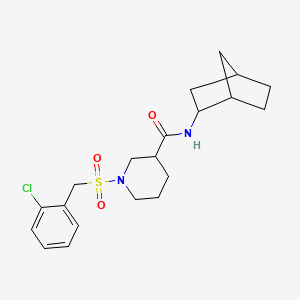 N-(bicyclo[2.2.1]hept-2-yl)-1-[(2-chlorobenzyl)sulfonyl]piperidine-3-carboxamide