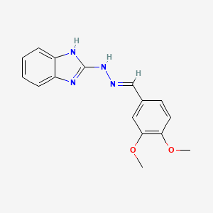 2-[(2E)-2-(3,4-dimethoxybenzylidene)hydrazinyl]-1H-benzimidazole