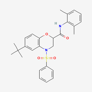 6-tert-butyl-N-(2,6-dimethylphenyl)-4-(phenylsulfonyl)-3,4-dihydro-2H-1,4-benzoxazine-2-carboxamide