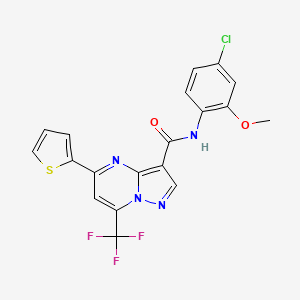 molecular formula C19H12ClF3N4O2S B11237948 N-(4-chloro-2-methoxyphenyl)-5-(thiophen-2-yl)-7-(trifluoromethyl)pyrazolo[1,5-a]pyrimidine-3-carboxamide 