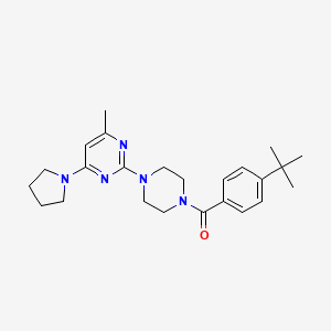 molecular formula C24H33N5O B11241151 2-[4-(4-Tert-butylbenzoyl)piperazin-1-YL]-4-methyl-6-(pyrrolidin-1-YL)pyrimidine 