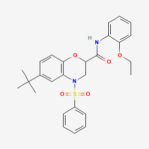 6-tert-butyl-N-(2-ethoxyphenyl)-4-(phenylsulfonyl)-3,4-dihydro-2H-1,4-benzoxazine-2-carboxamide