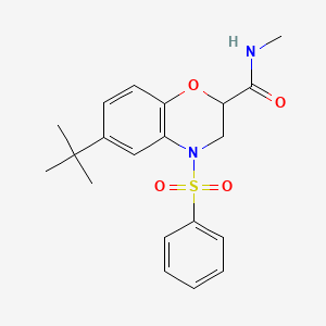 molecular formula C20H24N2O4S B11248724 6-tert-butyl-N-methyl-4-(phenylsulfonyl)-3,4-dihydro-2H-1,4-benzoxazine-2-carboxamide 