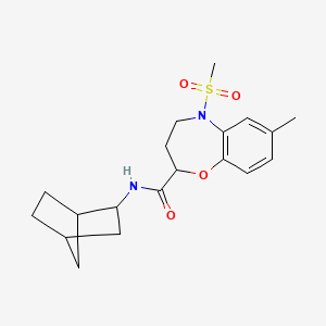 molecular formula C19H26N2O4S B11250172 N-(bicyclo[2.2.1]hept-2-yl)-7-methyl-5-(methylsulfonyl)-2,3,4,5-tetrahydro-1,5-benzoxazepine-2-carboxamide 