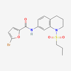 molecular formula C17H19BrN2O4S B11257586 5-bromo-N-(1-(propylsulfonyl)-1,2,3,4-tetrahydroquinolin-7-yl)furan-2-carboxamide 