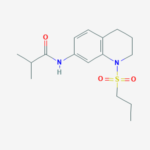 N-(1-(propylsulfonyl)-1,2,3,4-tetrahydroquinolin-7-yl)isobutyramide