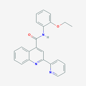 N-(2-ethoxyphenyl)-2-(pyridin-2-yl)quinoline-4-carboxamide