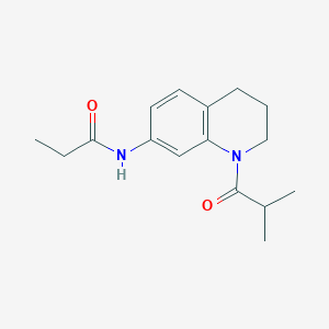 N-(1-isobutyryl-1,2,3,4-tetrahydroquinolin-7-yl)propionamide