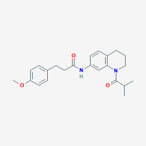 molecular formula C23H28N2O3 B11259718 N-(1-isobutyryl-1,2,3,4-tetrahydroquinolin-7-yl)-3-(4-methoxyphenyl)propanamide 