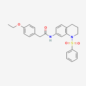 2-(4-ethoxyphenyl)-N-(1-(phenylsulfonyl)-1,2,3,4-tetrahydroquinolin-7-yl)acetamide