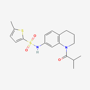 N-(1-isobutyryl-1,2,3,4-tetrahydroquinolin-7-yl)-5-methylthiophene-2-sulfonamide