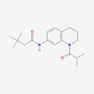 molecular formula C19H28N2O2 B11260346 N-(1-isobutyryl-1,2,3,4-tetrahydroquinolin-7-yl)-3,3-dimethylbutanamide 